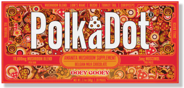 Ooey Gooey Chocolate Bar - Image 2